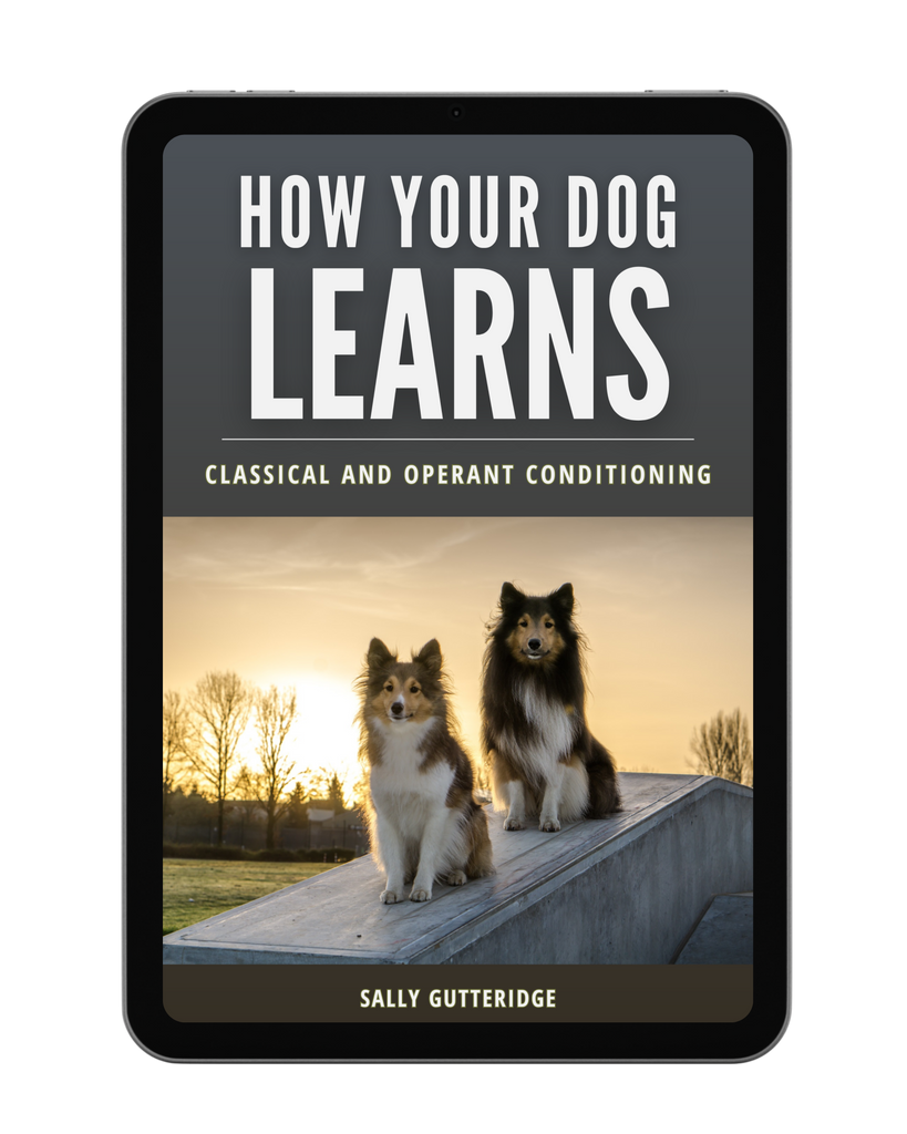 How Your Dog Learns: Classical and Operant Conditioning