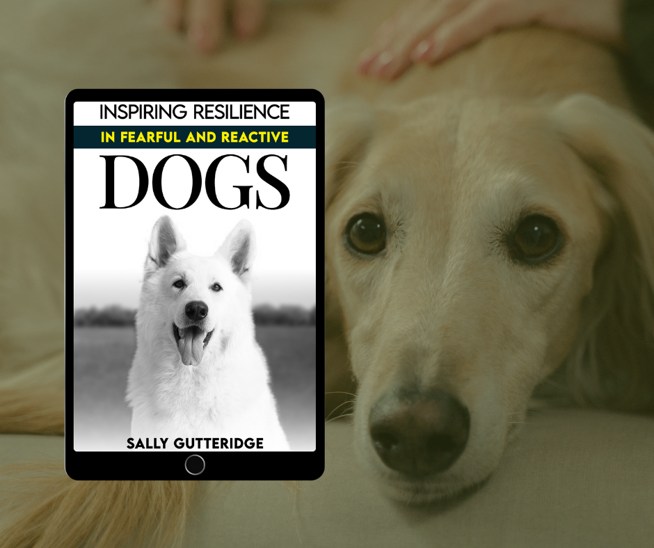 Inspiring Resilience in Fearful and Reactive Dogs.