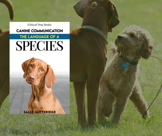 Canine Communication: The Language of a Species.