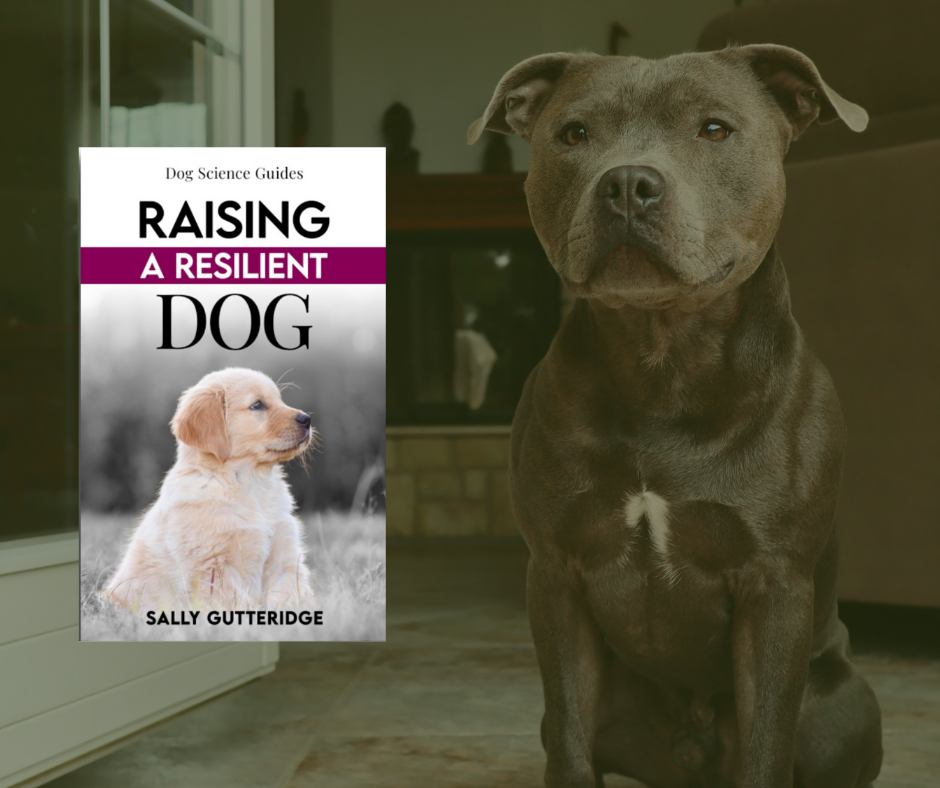 Raising A Resilient Dog