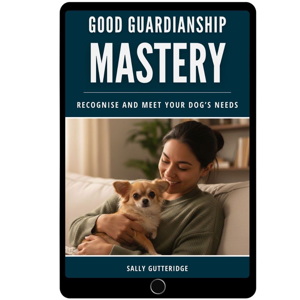 Good Guardianship Mastery: Recognise and Meet Your Dog's Needs