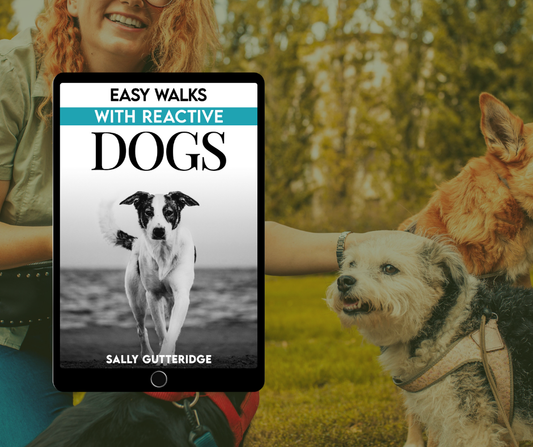 Easy Walks With Reactive Dogs.