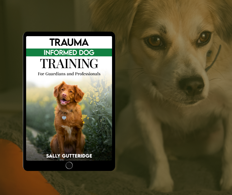Trauma Informed Dog Training