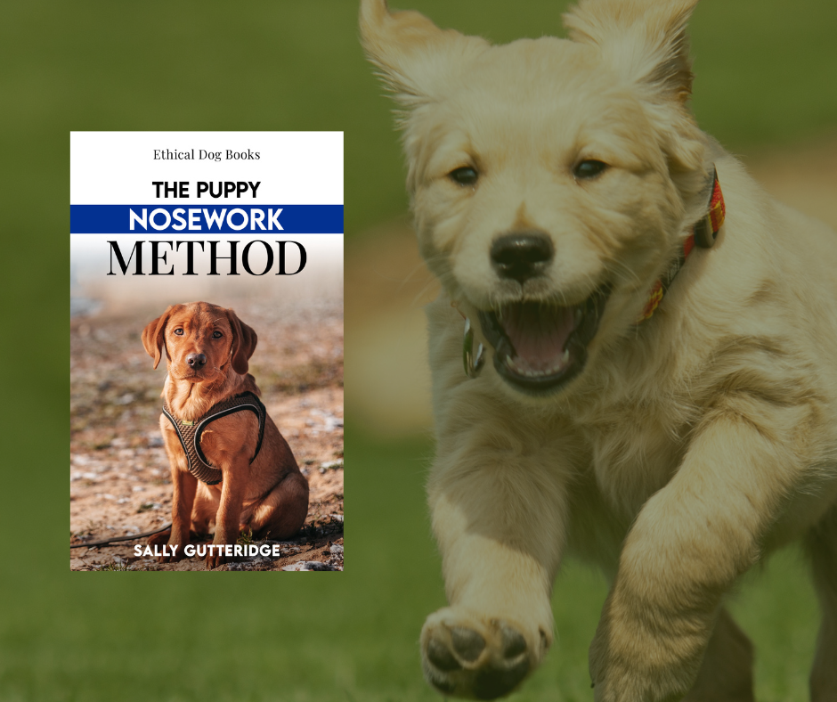 The Puppy Nosework Method