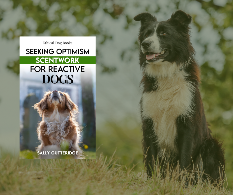 Seeking Optimism: Scentwork For Reactive Dogs