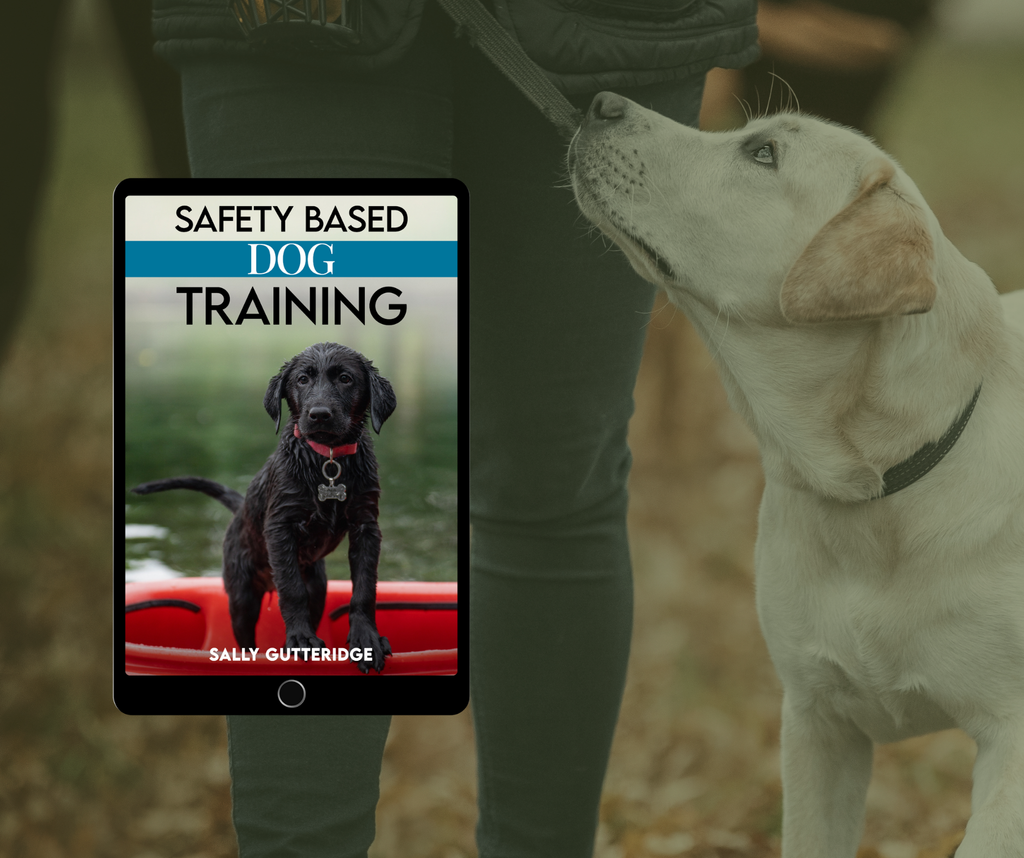 Safety Based Dog Training