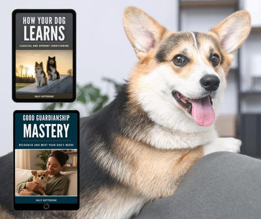 Be Your Own Dog Trainer