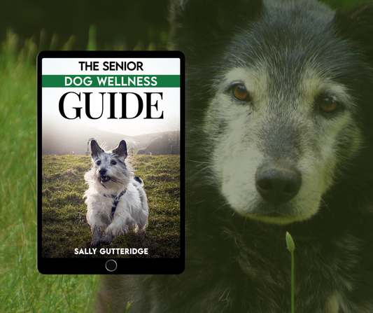 The Senior Dog Wellness Guide.