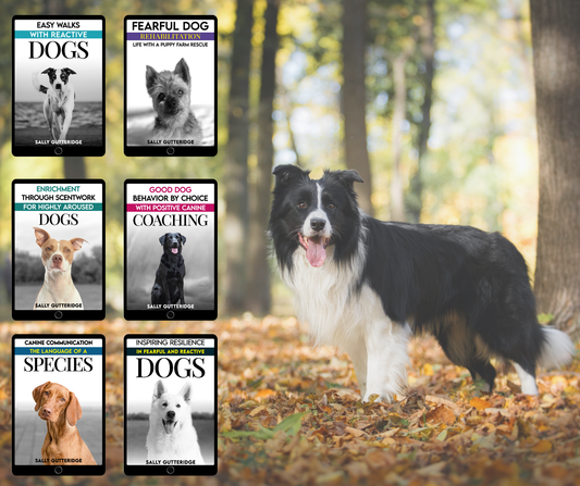 Bumper Canine Reactivity Bundle