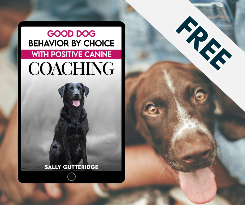*FREE eBook* Good Dog Behaviour By Choice With Positive Canine Coaching.
