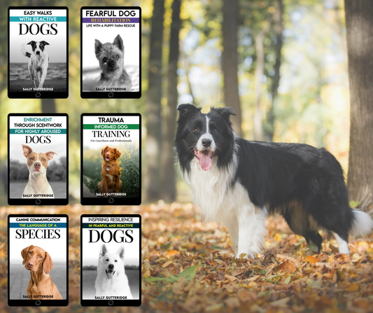 Bumper Canine Reactivity Bundle