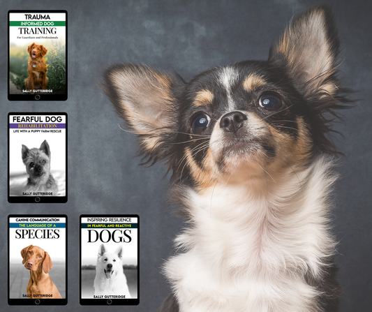 Dog Rescuer's Bundle